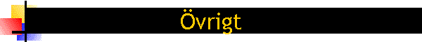 vrigt